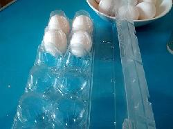 Cuna contenedora para huevos Fabrica de envases plasticos